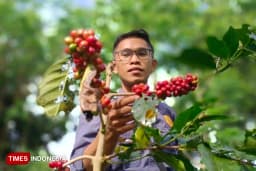 DPRD Bondowoso Dukung BRK Reborn, Petani Harus Jalankan Perda Pengembangan Kopi